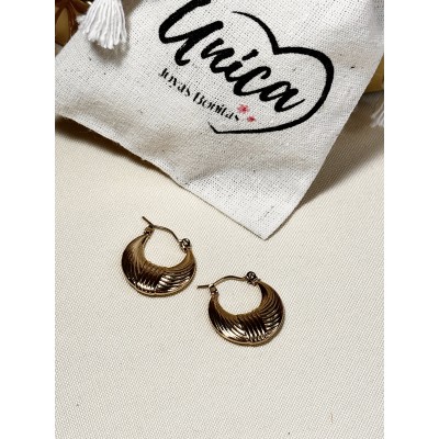 ARGOLLAS LIVIANAS DISEÑO